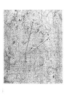 Hydrogen-induced-cracking resistant and sulphide-stress-cracking resistant steel alloy