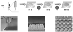 Method for constructing coexistence of aerobic fungi and facultative or anaerobic microorganisms by utilizing 3D printing