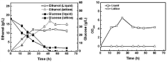 Method for constructing coexistence of aerobic fungi and facultative or anaerobic microorganisms by utilizing 3D printing