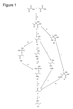 Fermentive production of four carbon alcohols