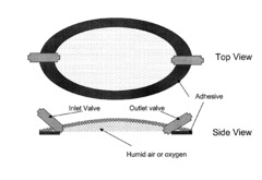 Silicone hydrogels for tissue adhesives and tissue dressing applications