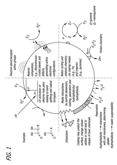 Accessing the Toxic Potential of Nanomaterials