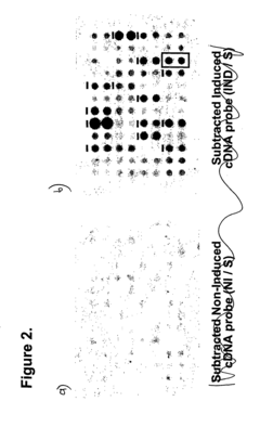 Abscisic acid 8'-and 7'-hydroxylase genes and related sequences from plants