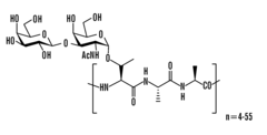 Antifreeze glycoprotein analogues and uses thereof
