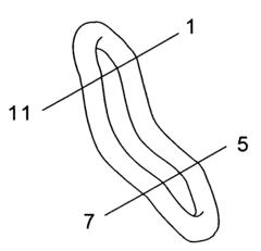 Ergonomic safety steering wheel