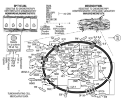 Drug Repositioning Methods For Targeting Breast Tumor Initiating Cells