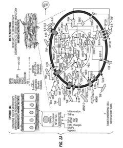 Drug Repositioning Methods For Targeting Breast Tumor Initiating Cells