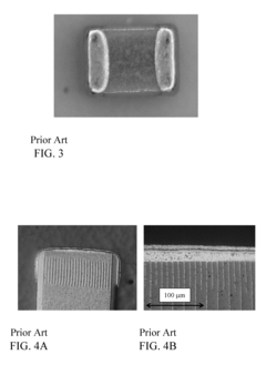 Multilayer ceramic capacitor with terminal formed by electroless plating