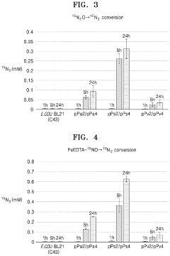 Recombinant microorganism including genetic modification that increases activity of nitrous oxide reductase pathway and method of reducing concentration of nitrous oxide in sample by using the same