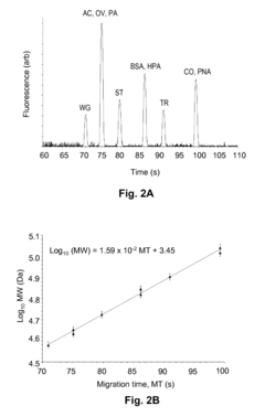 Polymeric Nanopillars and Nanotubes, Their Manufacture and Uses