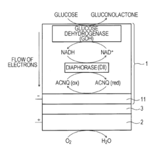 Fuel cell and method for manufacturing the same, enzyme-immobilized electrode and method for manufacturing the same, and electronic apparatus