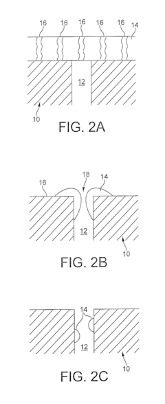 Exhaust system for a vehicular positive ignition internal combustion engine