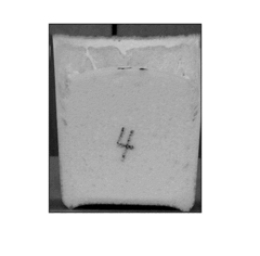 Antimicrobial bio polyurethane foam and method for manufacturing the same