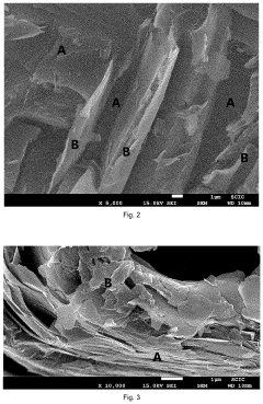 Compact compound comprising silanized hydroxyl graphene with thermosetting polymer