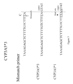 Genotyping assay to predict CYP3A5 phenotype