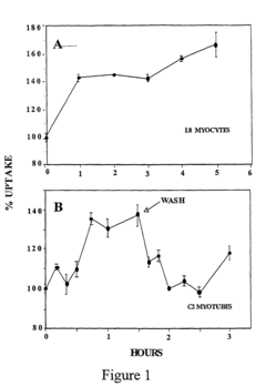 Pentose derivatives as anti-hyperglycemic drugs
