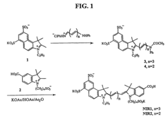 Nir-fluorescent cyanine dyes, their synthesis and biological use