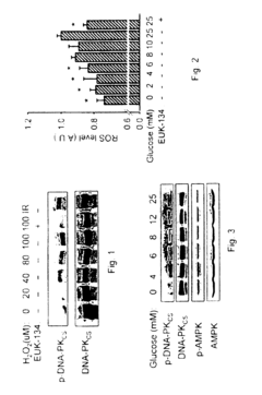 Dna-pkcs modulates energy regulation and brain function