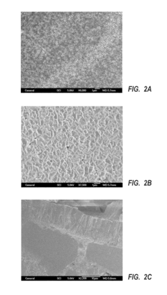 Method for desalinating water using zeolite membrane
