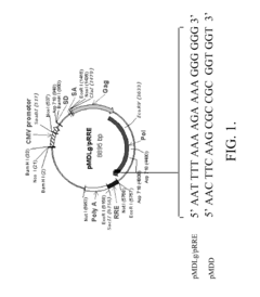 Methods and compositions relating to improved lentiviral vector production systems