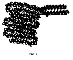 RGD peptide attached to bioabsorbable stents