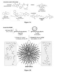 Brush-arm star polymer imaging agents and uses thereof