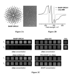 Brush-arm star polymer imaging agents and uses thereof