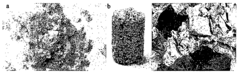 Hydrogel Porogents for Fabricating Biodegradable Scaffolds