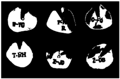 Method for preparing tympanic membrane model and tympanic membrane engraving model