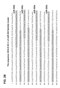 Novel sugar alcohol-based compositions for delivering nucleic acid-based drugs in vivo and in vitro