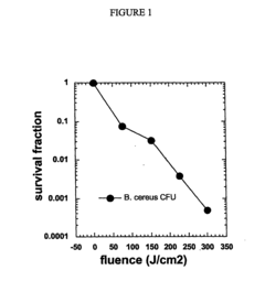 Photodynamic inactivation of bacterial spores