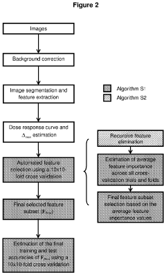 High throughput method for accurate prediction of compound-induced liver injury