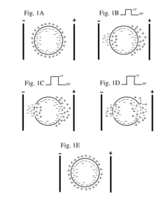 Electroporation and Electrophoresis System and Method for Achieving Molecular Penetration into Cells In Vivo