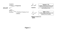 Short chain volatile hydrocarbon production using genetically engineered microalgae, cyanobacteria or bacteria