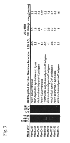 Sequestration of carbon dioxide with hydrogen to useful products