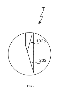 Plasma gun for treating tumors in vivo and use method thereof