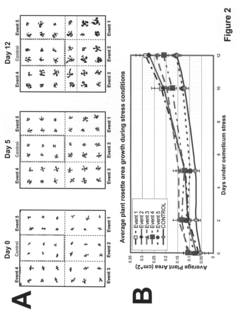 Methods of increasing abiotic stress tolerance and/or biomass in plants and plants generated thereby