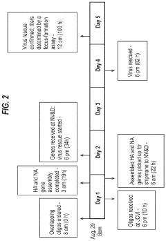 Influenza virus reassortment