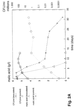 Method of inducing malolactic fermentation in wine or fruit juice by direct inoculation with a non-activated started culture