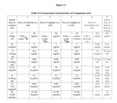 Pharmaceutical composition for improving health, cure abnormalities and degenerative disease, achieve Anti-aging effect of therapy and therapeutic effect on mammals and method thereof