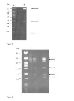 Production of plants with decreased nitrite content