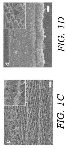 Three-dimensional (3D) printing of graphene materials