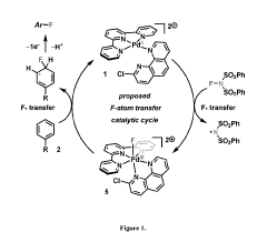 Direct palladium-catalyzed aromatic fluorination