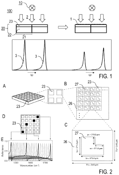 Method and spectrometer apparatus for investigating an infrared absorption of a sample