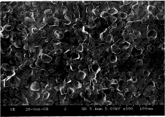 Modification method for improving compatibility and interface associativity of polylactic acid/starch blend