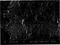 Modification method for improving compatibility and interface associativity of polylactic acid/starch blend