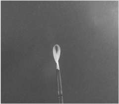 Preparation method of transparent flexible film of POSS (polyhedral oligomeric silsesquioxane) enhanced aramid nanofiber