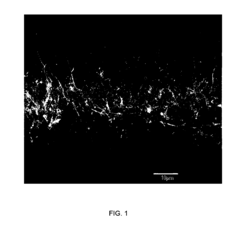 Medical device applications of nanostructured surfaces