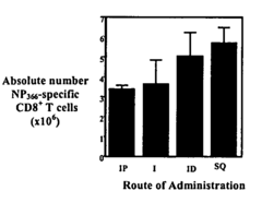 Delivery vehicles, bioactive substances and viral vaccines