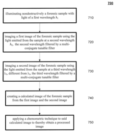System and Method for Improved Forensic Analysis